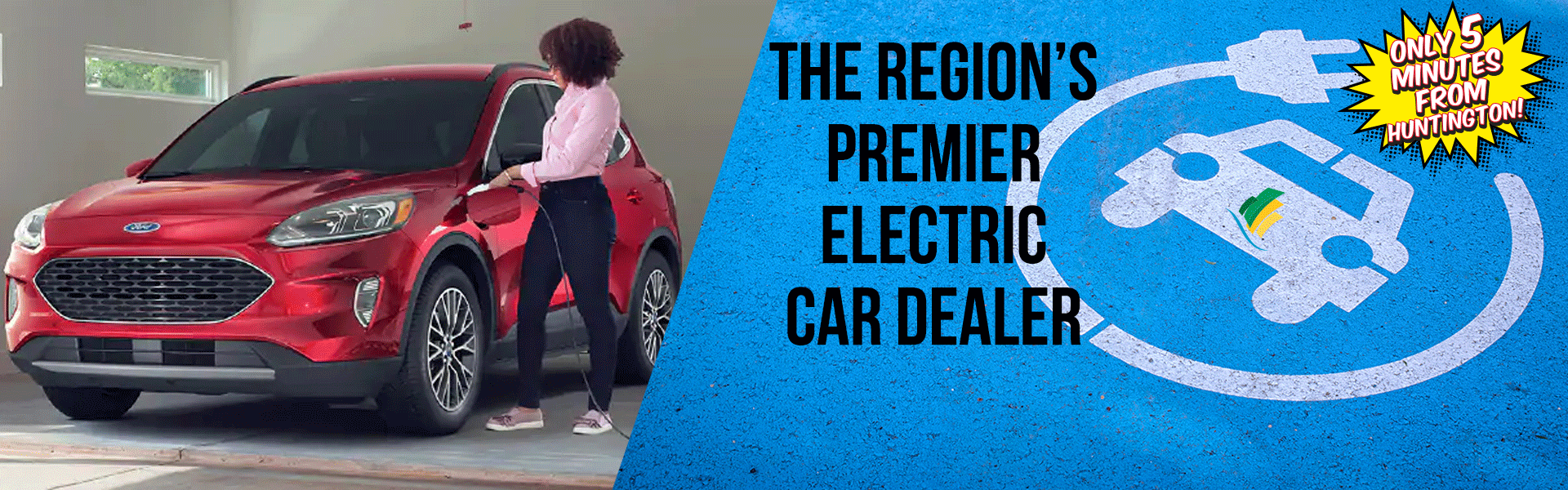 Premier Electric car dealer